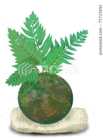 Tokiwashinobu (fern) moss ball, a cool white stone plate decoration fern on Kokedama Tokiwashinobu (fern) moss ball, a cool white stone plate decoration fern on Kokedama 75725692