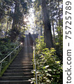 Divinely illuminated stairs 75725789