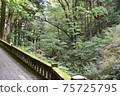 Scenery from the approach to shrines and temples 75725795