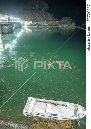 Onzui湖和Hikihara水壩（兵庫縣志莊市Hagacho）的夢幻夜景*作品註釋部分中的拍攝位置 75726387