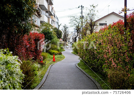 住宅街道路徑 75726406