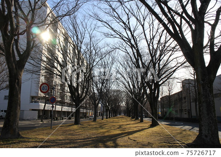 仙台若林區Oroshimachi周圍 75726717