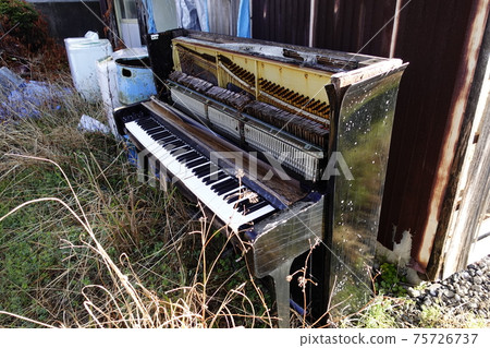 Memory of the disaster area 75726737