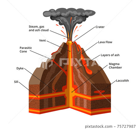 infographic illustration. Cross section of volcano infographic illustration. Cross section of volcano 75727987