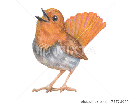 用模擬畫出Twitter知更鳥 用模擬畫出Twitter知更鳥 75728023