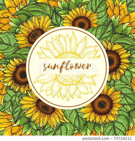 Background illustration with sunflowers and place for your text Background illustration with sunflowers and place for your text 75728212