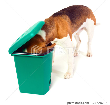 garbage can 75728296