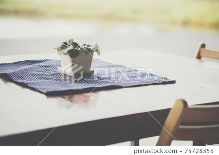 green plant leaves in pot decorating in dining table on patio green plant leaves in pot decorating in dining table on patio 75728355