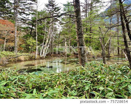 秋季上高地大澤澤沼澤風光3 秋季上高地大澤澤沼澤風光3 75728654