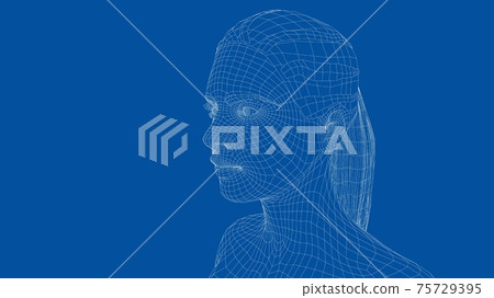 Wireframe portrait of a young beautiful girl 75729395