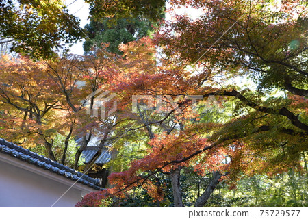 Encyen temple Encyen temple 75729577