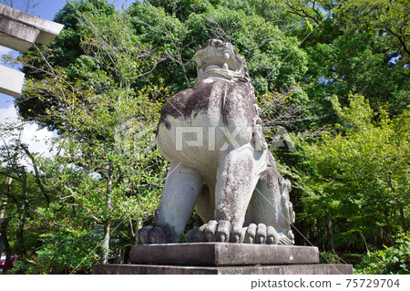 Takeda Shrine in Kofu, Yamanashi Prefecture 75729704