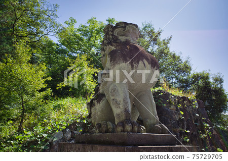 Takeda Shrine in Kofu, Yamanashi Prefecture Takeda Shrine in Kofu, Yamanashi Prefecture 75729705