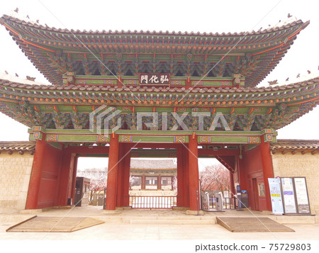 Changgyeonggung Palace. Changdeokgung Palace. Hongmaehwa. Azalea. Pine tree Changgyeonggung Palace. Changdeokgung Palace. Hongmaehwa. Azalea. Pine tree 75729803