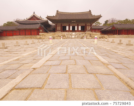 Changgyeonggung Palace. Changdeokgung Palace. Hongmaehwa. Azalea. Pine tree 75729843