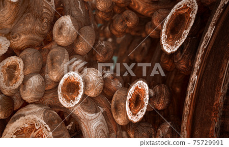 Foreign plums.3d fractal graphic. Foreign plums.3d fractal graphic. 75729991