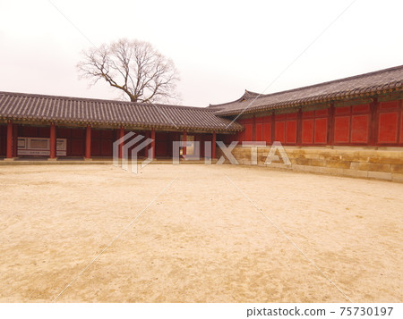 Janggyeonggung Palace, Changdeokgung Palace, Red Plum Flower, Azalea Flower, Pine Tree Janggyeonggung Palace, Changdeokgung Palace, Red Plum Flower, Azalea Flower, Pine Tree 75730197