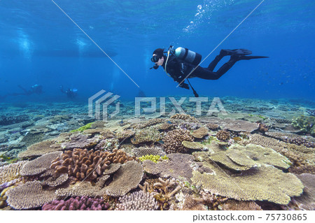scuba diving 75730865