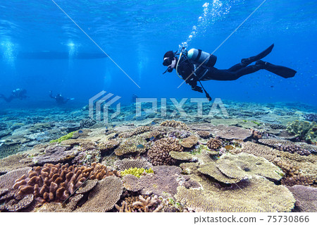 水肺潛水 75730866