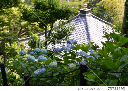 Hase Temple 75731395