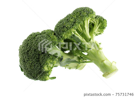 Healthy Green Organic Raw Broccoli Florets Ready for Cooking isolated on white background. 75731746