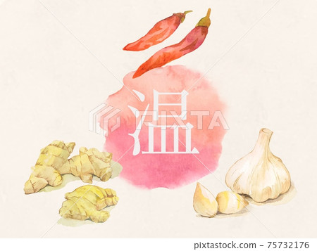 Ginger garlic chili condiments, warm watercolor icons, and several other variations 75732176