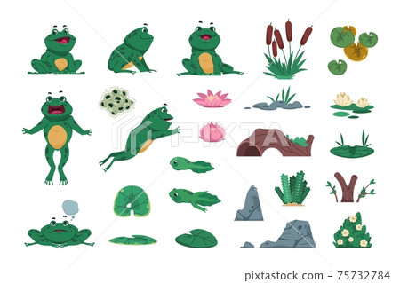 Frog Cartoon Amphibian With Pond And River Stock Illustration