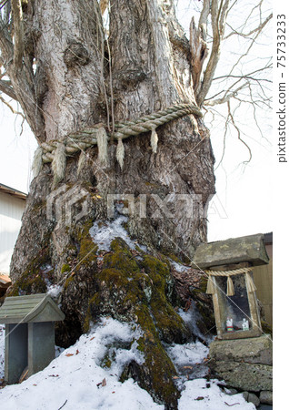 Millennium Katsura Tsuzureko Shrine Kitaakita City, Akita Prefecture 75733233
