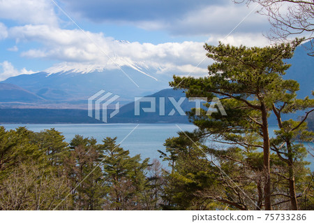 Mount Fuji and Lake Mount Fuji and Lake 75733286