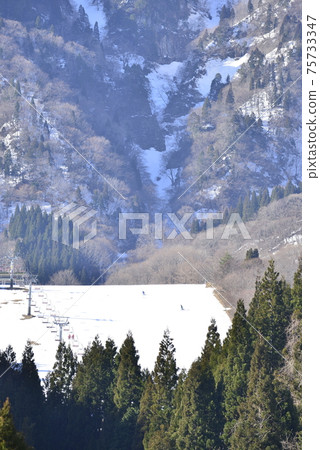 [兵庫縣雅部市]孝之森國際滑雪場 75733347