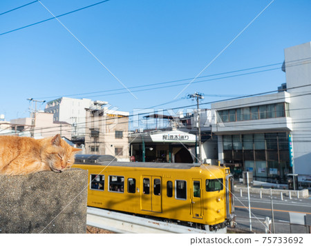 [廣島縣]乘坐尾道的貓在JR三洋本線上行駛的115系列火車 75733692