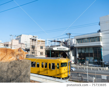 [Hiroshima Prefecture] Series 115 train running on the JR Sanyo Main Line with the cat of Onomichi 75733695