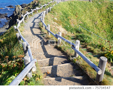 Hokkaido Rebunjima Scoton Cape 75734547