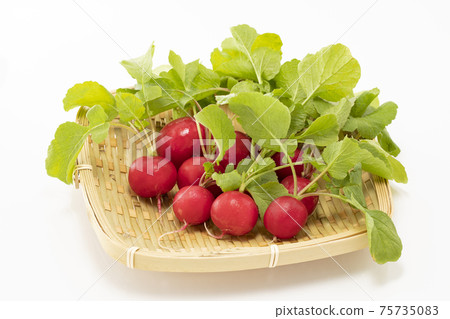 Radish on a white background 75735083
