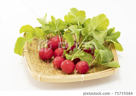 在白色背景上的蘿蔔 75735084
