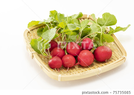 在白色背景上的蘿蔔 在白色背景上的蘿蔔 75735085