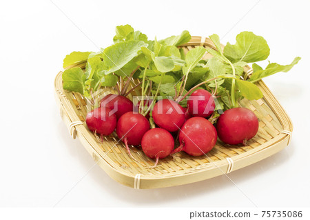 在白色背景上的蘿蔔 在白色背景上的蘿蔔 75735086
