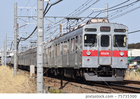 在陽光明媚的Denen-toshi線上運行的Tokyu Corporation 8500系列 75735300