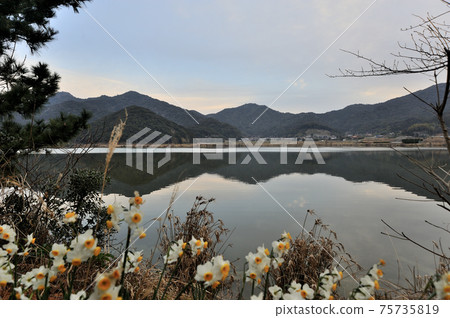 長門市近江島上的清海湖清晨風光 長門市近江島上的清海湖清晨風光 75735819