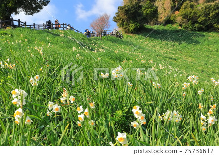 [Hyogo Prefecture] Nadakuroiwa Suisenkyo under fine weather 75736612