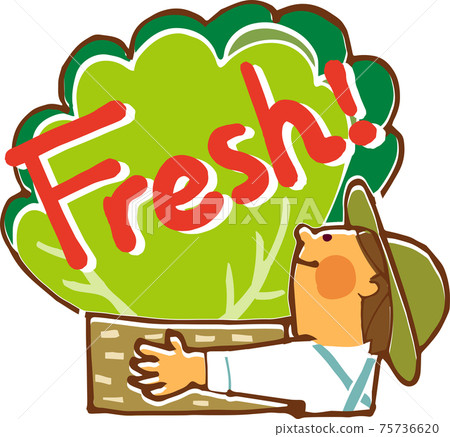 Fresh vegetable harvest icon 75736620