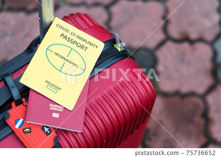 Conceptual Covid-19 Immunity Passport and travel passport on luggage Conceptual Covid-19 Immunity Passport and travel passport on luggage 75736652