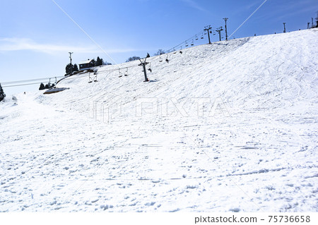 Ski resort [Koshi Kogen ski resort] (Yamakoshi, Nagaoka City, Niigata Prefecture) 75736658