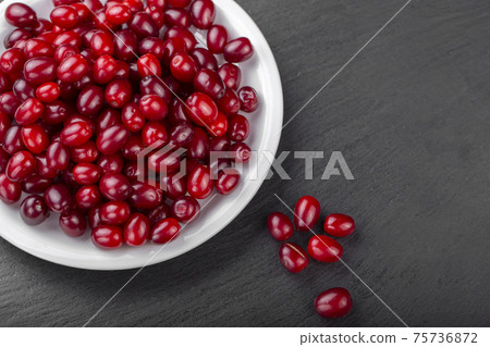 Dogwood berries 75736872