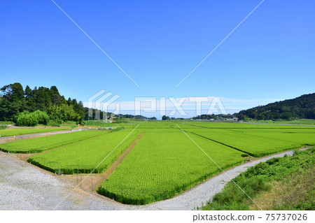 Scenery of Rikuzentakata City, Iwate Prefecture (Summer 2020) 75737026