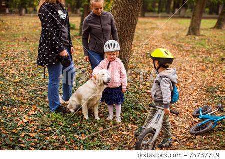 Introducing cute dog to a lovely preschool girl Introducing cute dog to a lovely preschool girl 75737719
