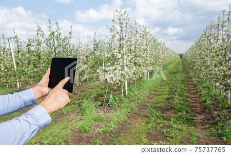 Agricultural activity and gardening at springtime, smart control and app on empty screen 75737765