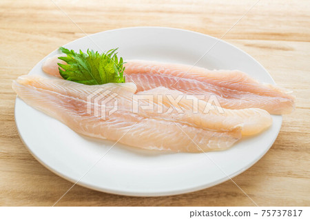 Pangasius fillet 75737817