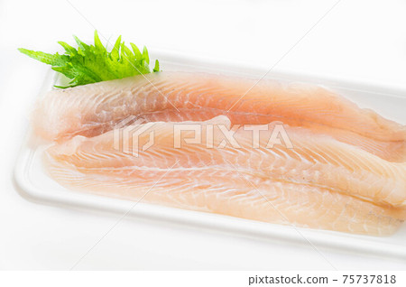 Pangasius fillet 75737818