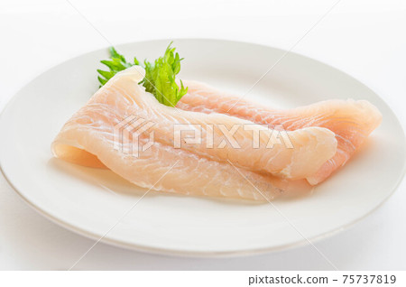 潘加修斯魚片 潘加修斯魚片 75737819